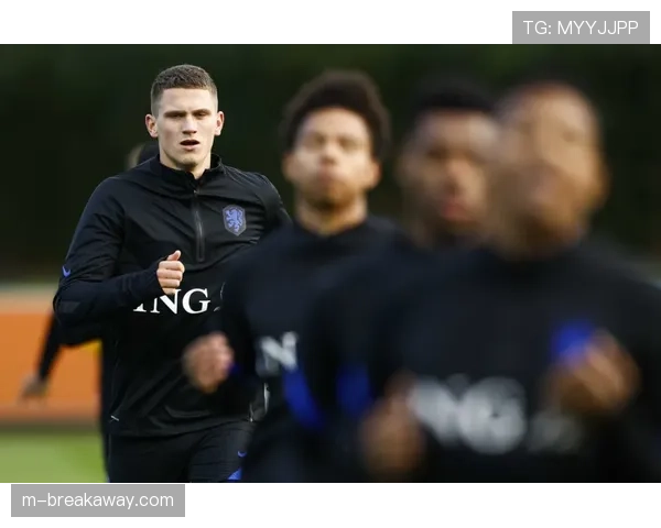 动态:热刺主力中卫范德文赛季报销,防线效率面临严峻考验